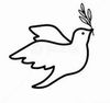 鳩