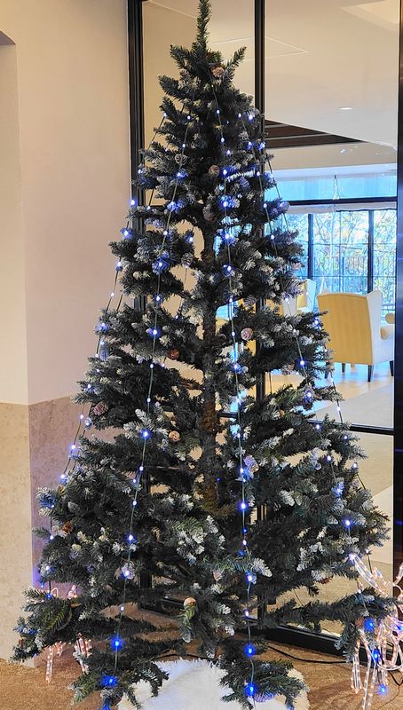 クリスツリーツリー